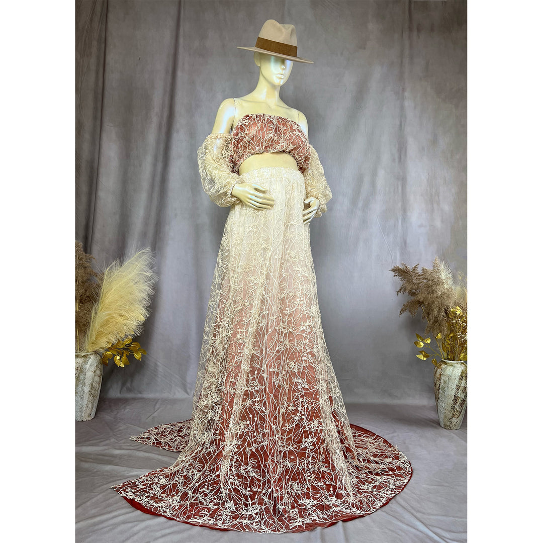 Rent---Wanda Gown