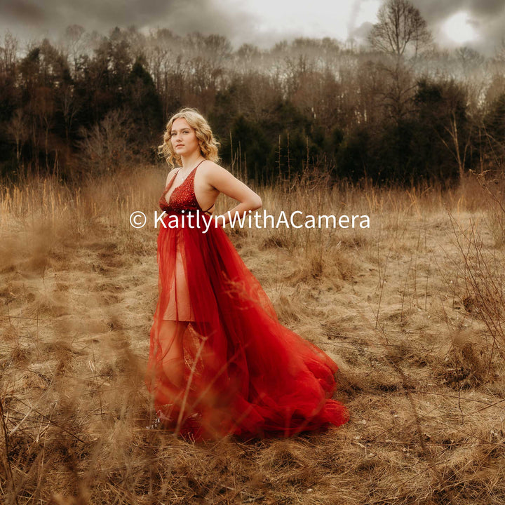 Phoenix Gown