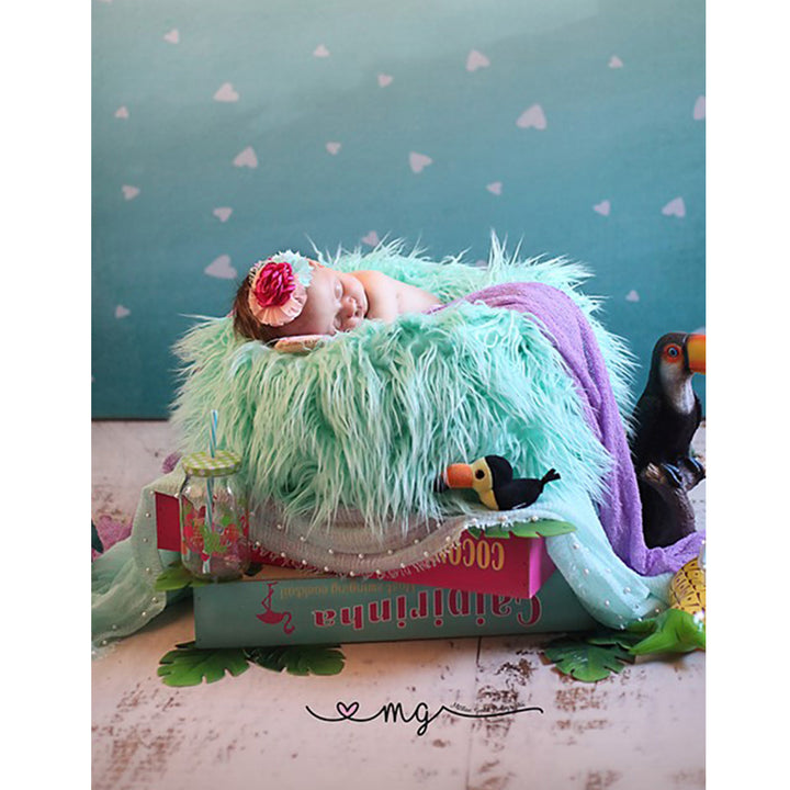 Faux Fur Posing Pillow Nest Prop for Newborn