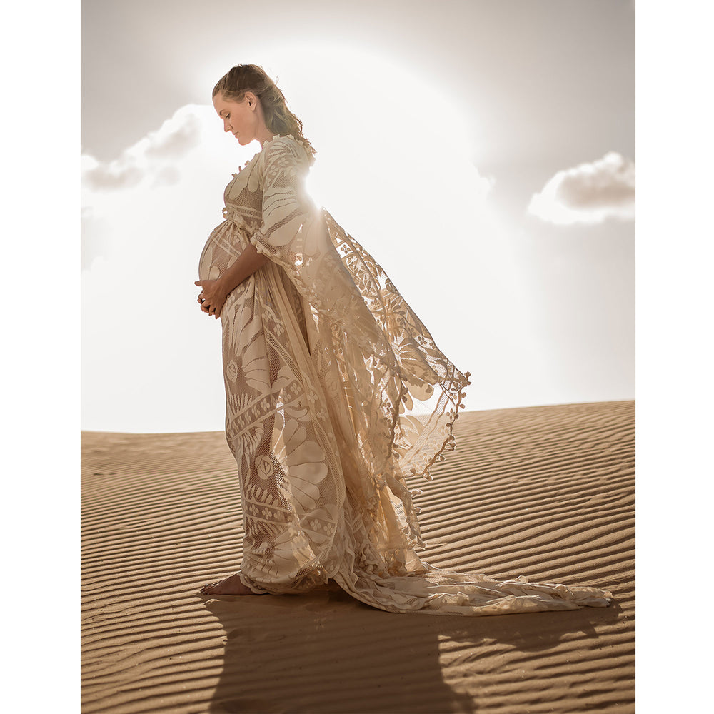 Abigail Gown - Don&Judy Newborn&Maternity photography props