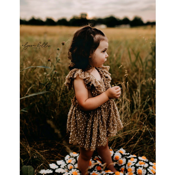Beverly Dress